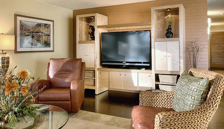 Mucci Truckess Architecture: Furnishings - Multimedia Cabinet