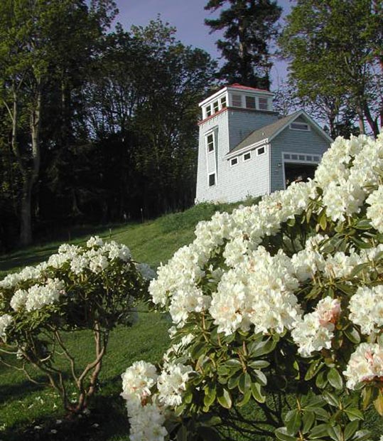 Mucci Truckess Architecture: Follies - Lighthouse Tower